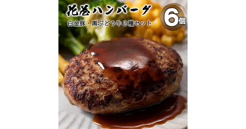 【ふるさと納税】白金豚と黒ぶだう牛 ハンバーグ・味噌deハンバーグ 6個 セット 豚肉 牛肉 ブランド肉