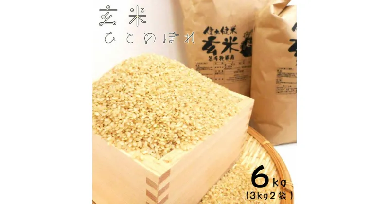 【ふるさと納税】花巻産「健土健米」玄米(3kg×2袋）《令和6年産》新米