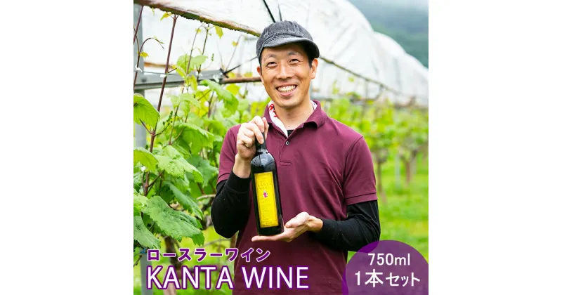 【ふるさと納税】ロースラー ワイン KANTA WINE 750ml×1本 かんたわいん かんたはうす 赤ワイン 花巻市 大迫 地域おこし協力隊