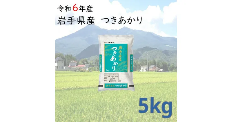 【ふるさと納税】米 5kg 岩手県産 精米 つきあかり 令和6年産 新米 白米 お米