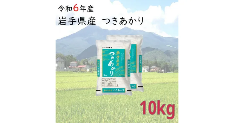 【ふるさと納税】米 10kg 岩手県産 精米 つきあかり 令和6年産 新米 白米 お米