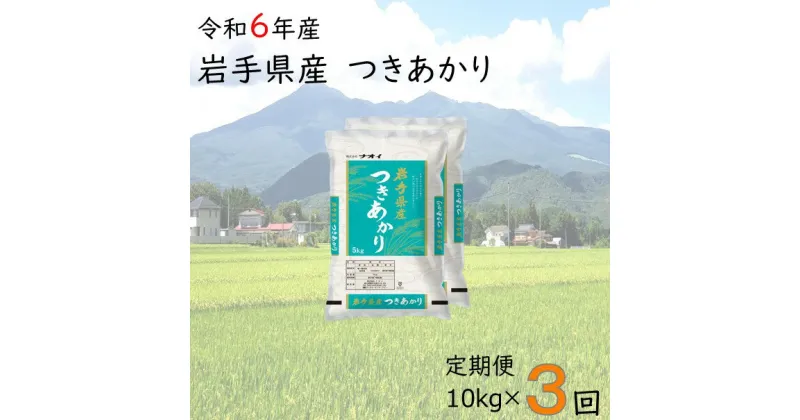 【ふるさと納税】【3ヶ月定期便】令和6年産 岩手県産つきあかり10kg（5kg×2袋） 新米 お米 ふるさと納税 米 定期便