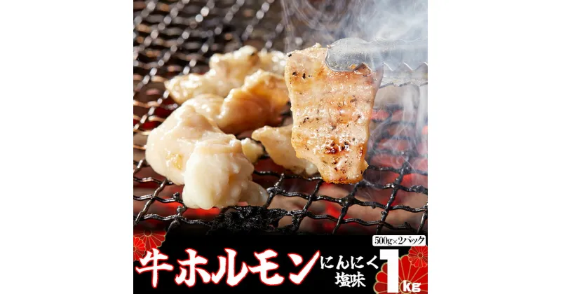 【ふるさと納税】味付き牛ホルモン 秘伝のたれ漬け にんにく 塩味 1kg（500g×2パック） 焼肉 ホルモン お肉 バーベキュー