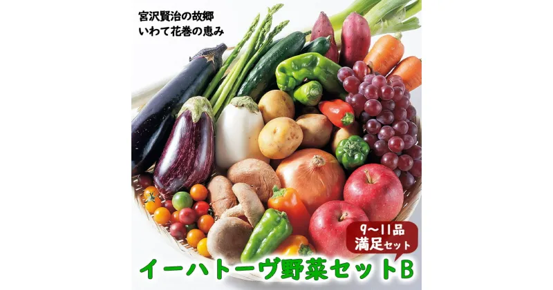 【ふるさと納税】いわて花巻産 イーハトーヴ野菜B 満足セット (9〜11品) 旬 野菜 果物 お楽しみ 詰め合わせ