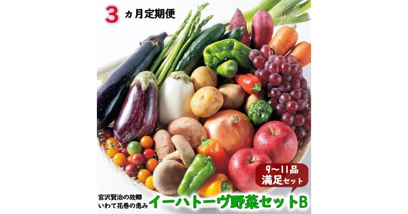 【ふるさと納税】《定期便3ヶ月》 イーハトーヴ野菜B 満足セット 3回(9〜11品) ふるさと納税 野菜 定期便 詰め合わせ 旬 冷蔵