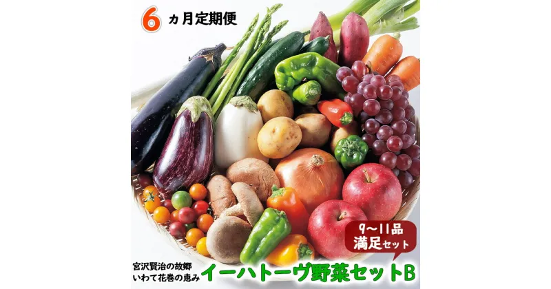 【ふるさと納税】《定期便6ヶ月》 イーハトーヴ野菜B 満足セット 6回(9〜11品) 詰め合わせ 旬 冷蔵 ふるさと納税 野菜 定期便