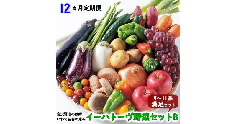 【ふるさと納税】《定期便12ヶ月》 イーハトーヴ野菜B 満足セット 12回(9〜11品) 詰め合わせ ふるさと納税 野菜 定期便 旬 冷蔵