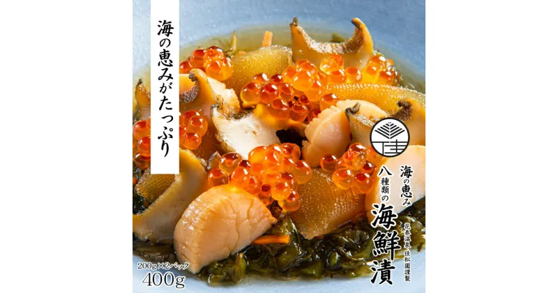 【ふるさと納税】花巻温泉 佳松園謹製 海の恵み 8種類の海鮮漬 200g×2パック