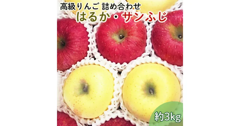 【ふるさと納税】《先行予約》【贈答用】 高級りんごはるか・サンふじ詰合せ！花巻産約3kg