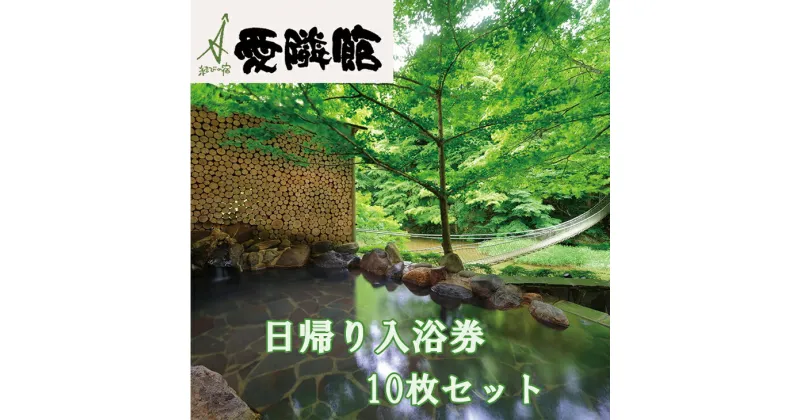 【ふるさと納税】結びの宿 愛隣館 日帰り入浴券（10枚セット） 岩手県 花巻 温泉 旅行 観光