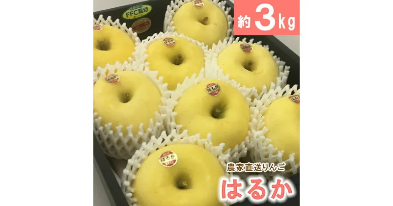 【ふるさと納税】はるか3kg いわて花巻　ふるさと納税 りんご