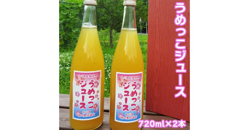 【ふるさと納税】【添加物不使用】うめっこジュース（720ml×2本セット）