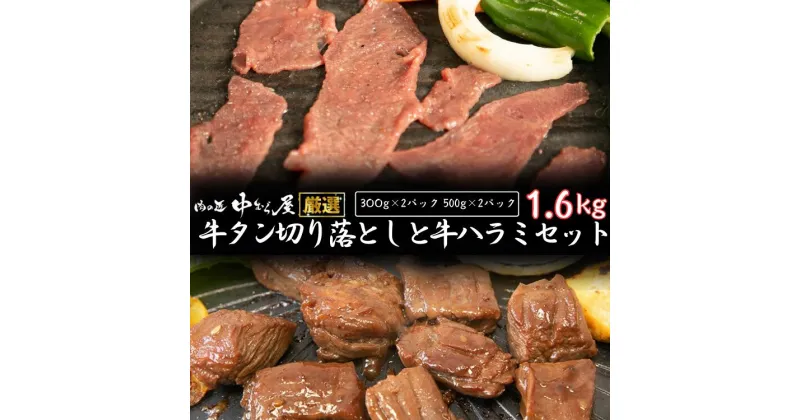 【ふるさと納税】お肉讃歌牛ハラミと味付け牛タン切り落としセット 1.6kg ＜肉の匠 中むら屋厳選＞牛ハラミ 牛タン お肉 新着 牛肉 肉 焼肉 タン先 塩牛タン 冷凍 真空パック 味付け肉　新着