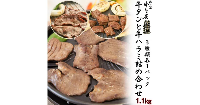 【ふるさと納税】牛タンと牛ハラミの味付肉詰め合わせ1.1kg ＜肉の匠 中むら屋厳選＞ 牛タン 牛ハラミ お肉 新着 牛肉 肉 焼肉 たんもと たんなか ハラミ タン先 塩牛タン 冷凍 真空パック 味付け肉 新着