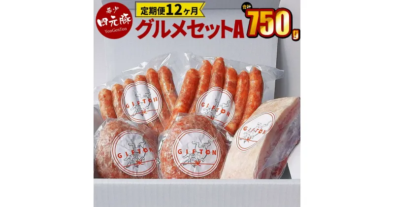 【ふるさと納税】【定期便12ヶ月】GIFTON 岩手県産四元豚 グルメセットA 750g （生ウィンナー2種・生ハンバーグ・熟成ベーコンブロック） ギフト