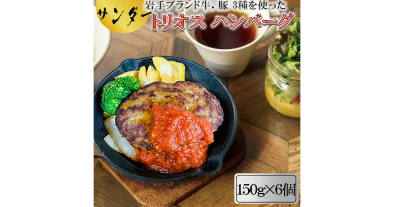 【ふるさと納税】サンダー トリオス ハンバーグ 150g×6個 肉バルサンダー 前沢牛 短角牛 岩中豚 ブランド豚 ブランド牛 花巻市