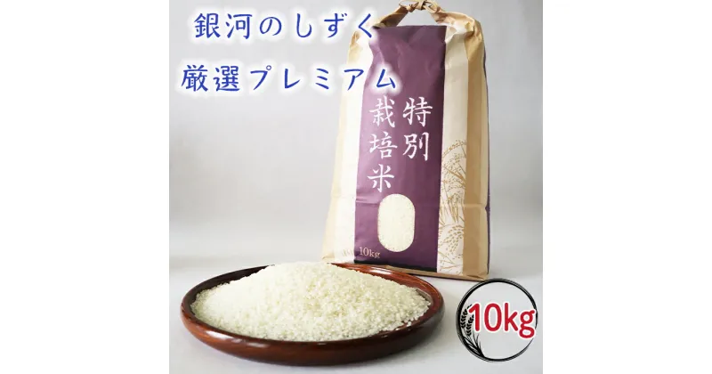 【ふるさと納税】令和6年産 銀河のしずく厳選プレミアム（減農薬・減化学肥料）10kg