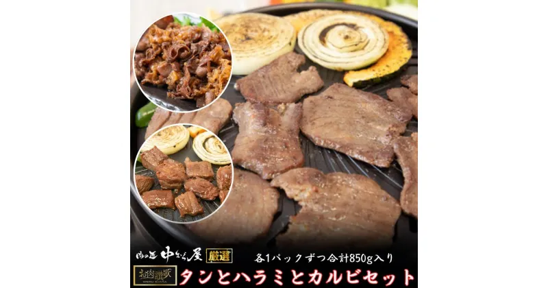 【ふるさと納税】お肉讃歌 タンとハラミとカルビセット ＜肉の匠 中むら屋厳選＞