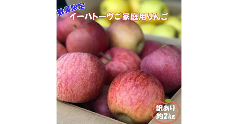 【ふるさと納税】数量限定！【生産者支援品】イーハトーヴ ご家庭用 りんご 2kg 訳あり 規格外 花巻市